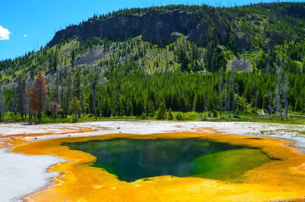 Parc-national-de-Yellowston