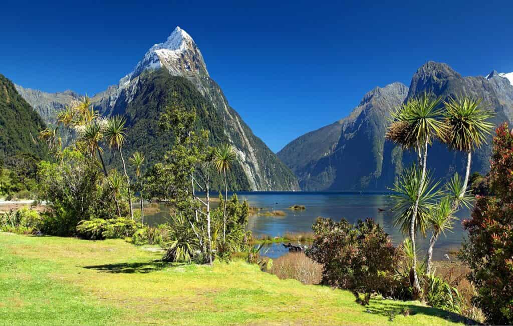 Parc-National-de-Fiordland,-Nouvelle-Zélande