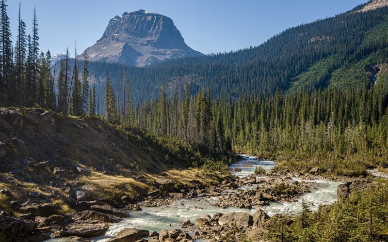 Découvrez les plus beaux parcs nationaux du monde